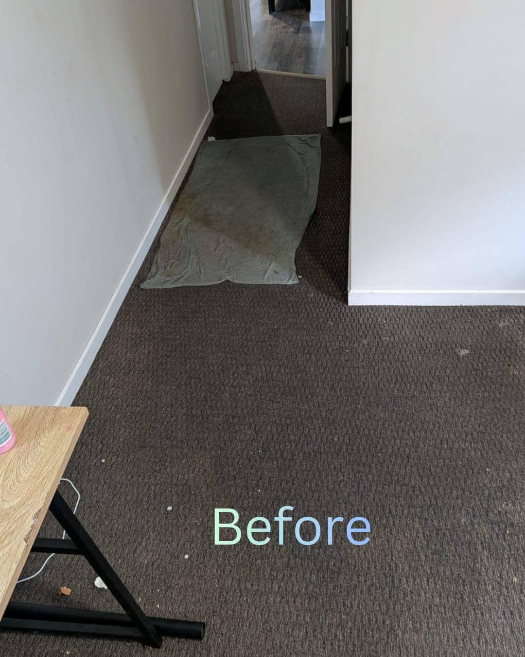 Before Deep Steam Clean & Stain Extraction