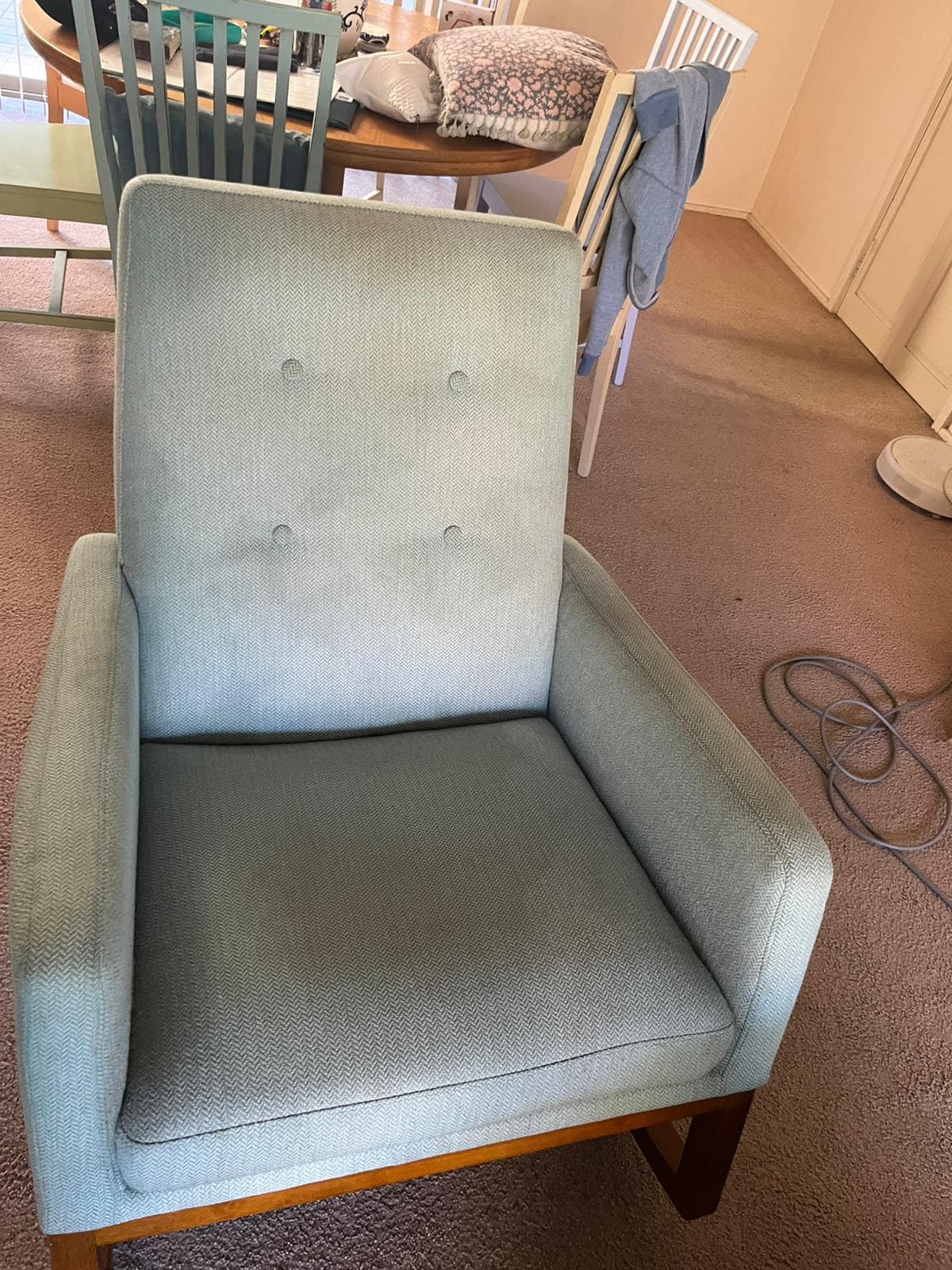 Cleaned Lounge Cushion Deep Soil Extraction